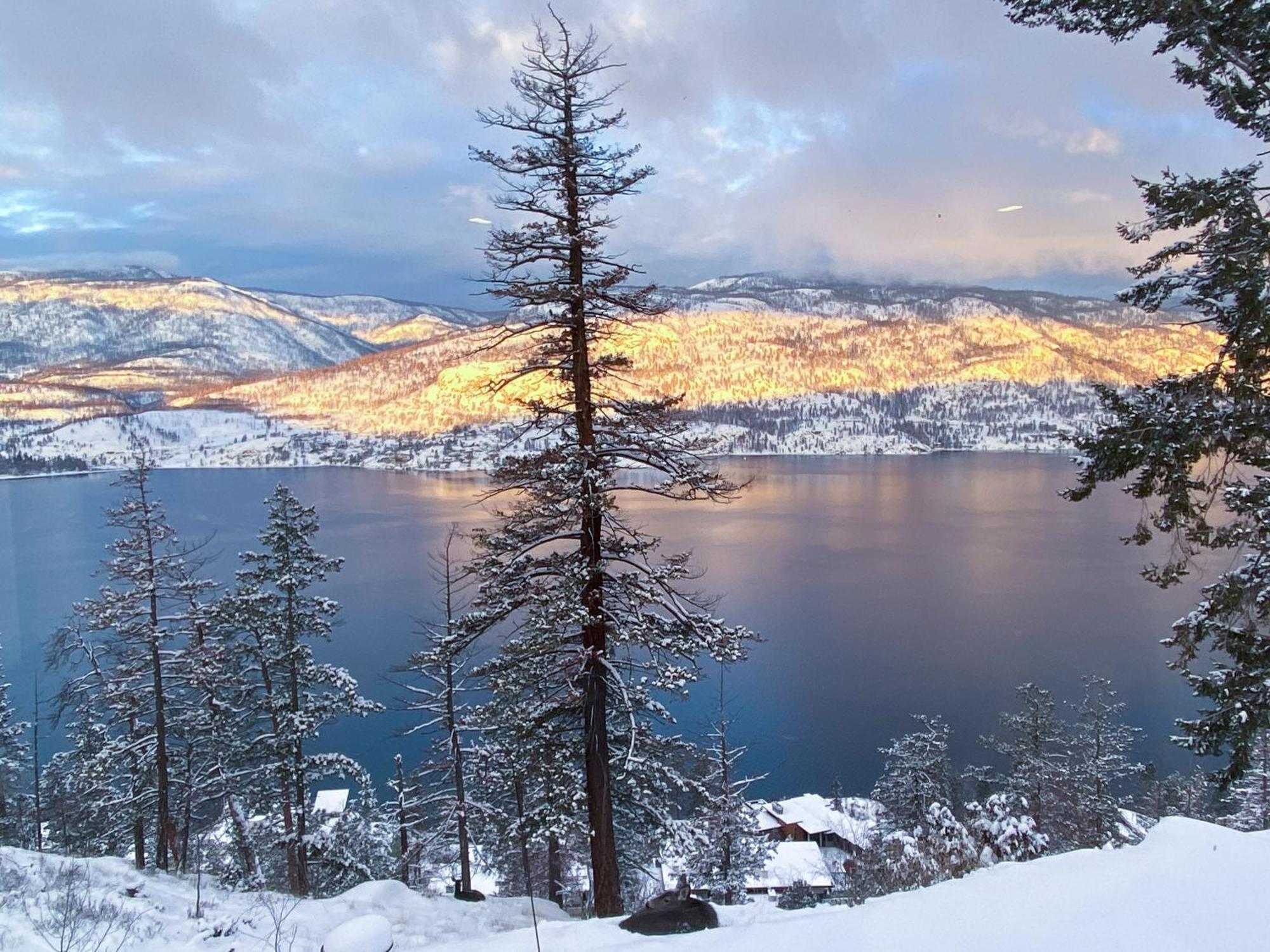 Kelowfornia Lakeview Retreat Kelowna Dış mekan fotoğraf