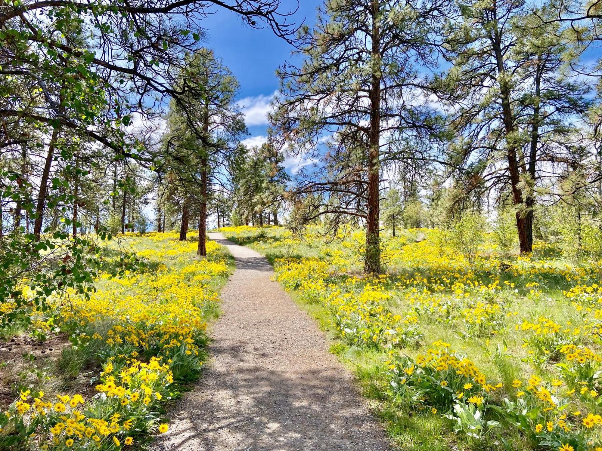 Kelowfornia Lakeview Retreat Kelowna Dış mekan fotoğraf