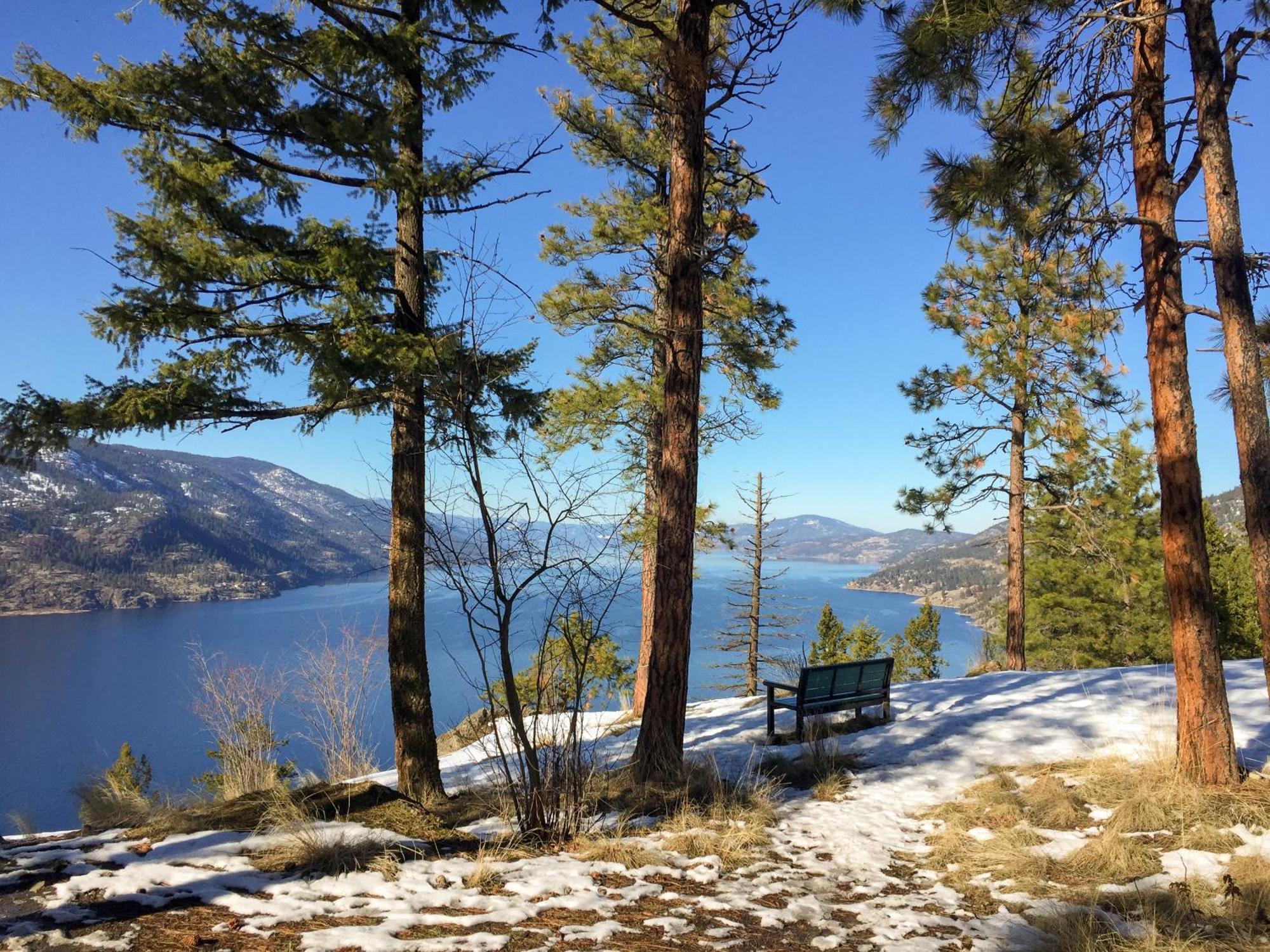 Kelowfornia Lakeview Retreat Kelowna Dış mekan fotoğraf