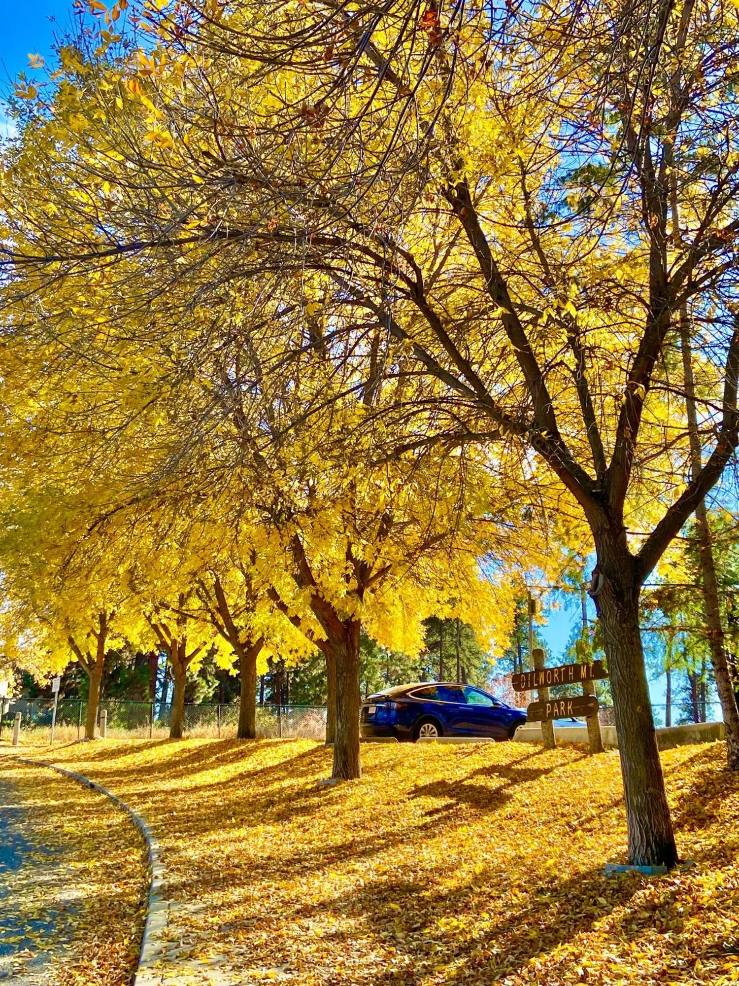 Kelowfornia Lakeview Retreat Kelowna Dış mekan fotoğraf